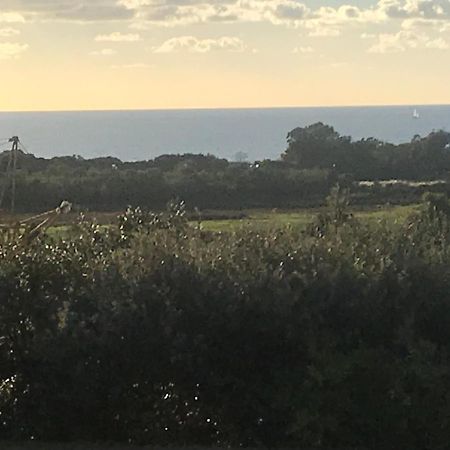 Villa Santoni Porticcio  Εξωτερικό φωτογραφία
